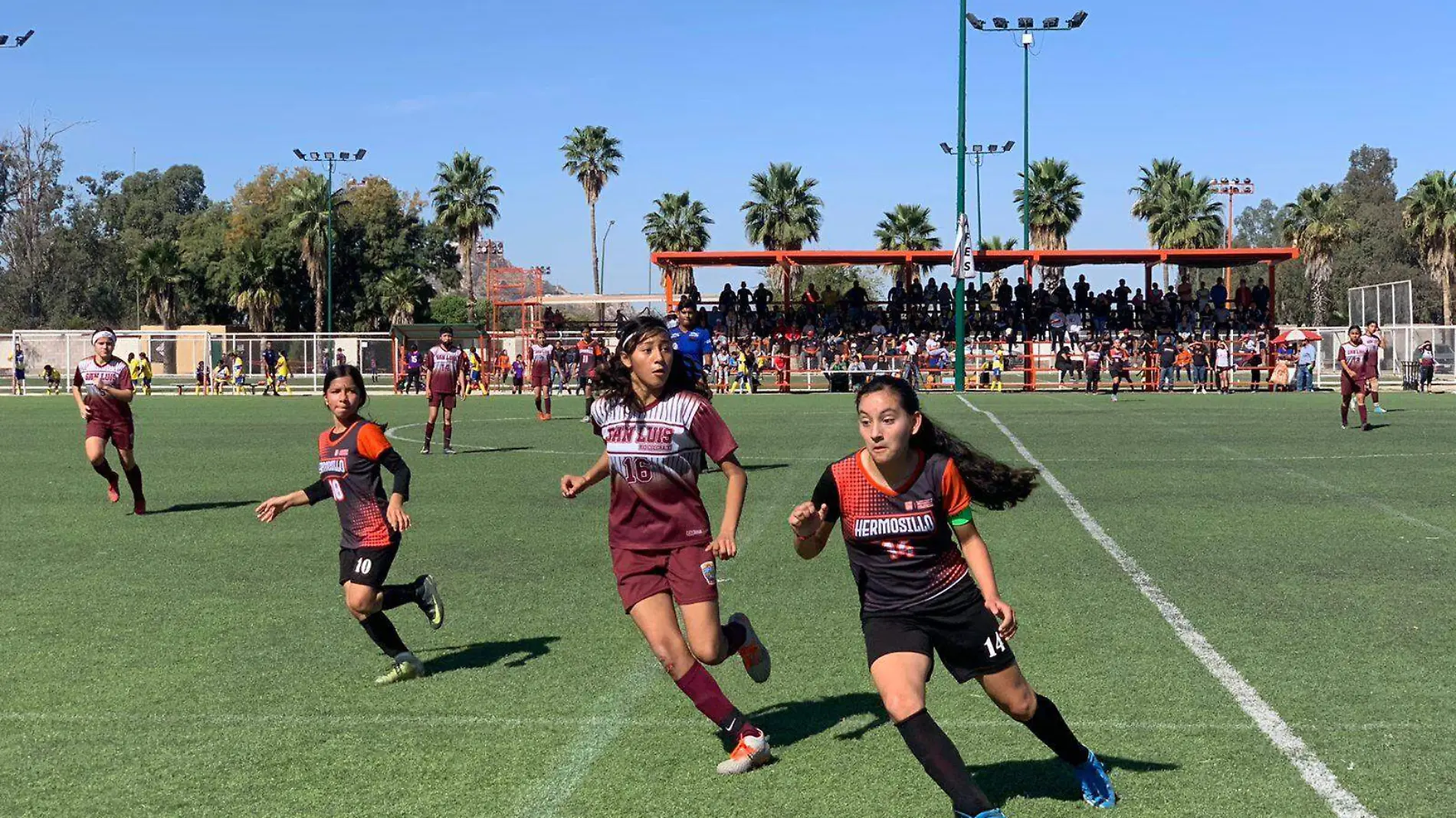 Hermosillo campeón Juvenil Menor Futbol Femenil            (Cortesía Codeson)